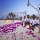 Weddings_(1280_x_1024)